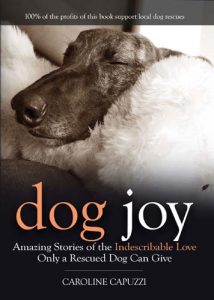 dog-joy
