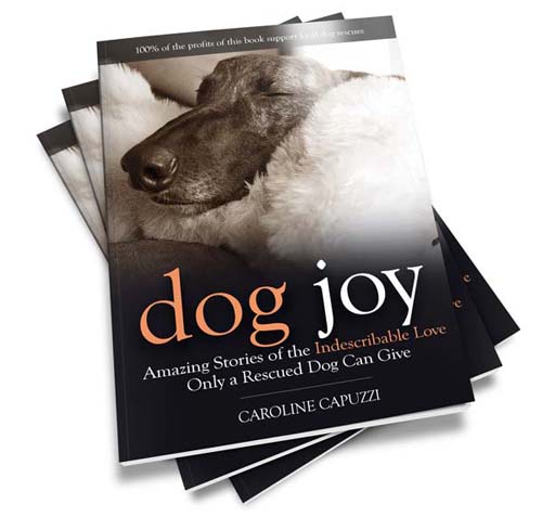 Dog Joy book 3D 3