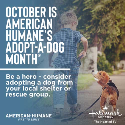 Adopt-a-Dog Month