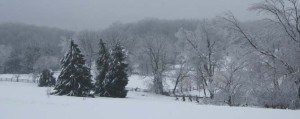 mike-capuzzi-featured-blizzard-2016-669x266